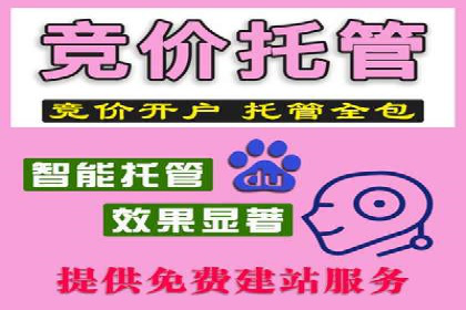 百度竞价推广案例：行业领军者成长故事